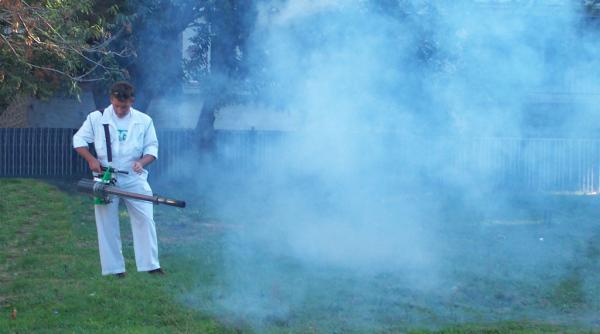 ddd ca la ploiesti milioane pentru o firma vanata de autoritati