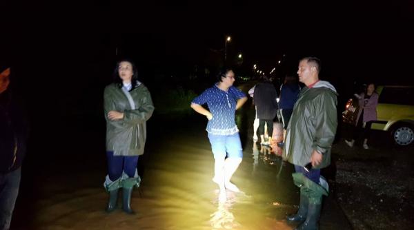 ploile au facut prapad in judetul timis