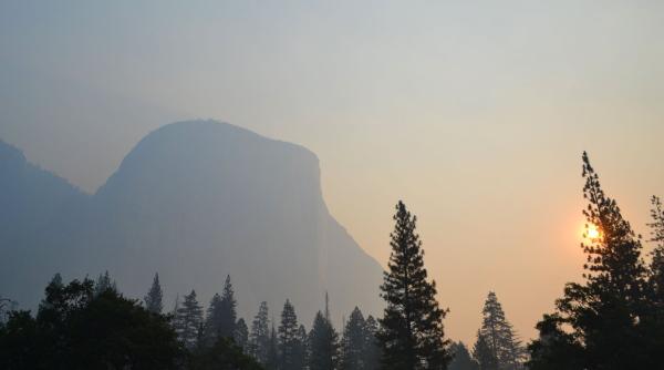 un incendiu de padure se apropie periculos de parcul national yosemite