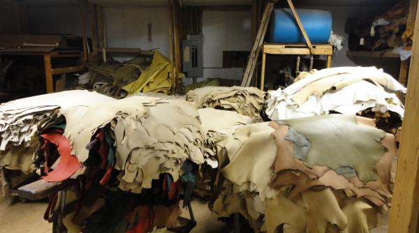 pieile de oaie iau drumul gropilor cele de bovine un lux pentru tabacarii