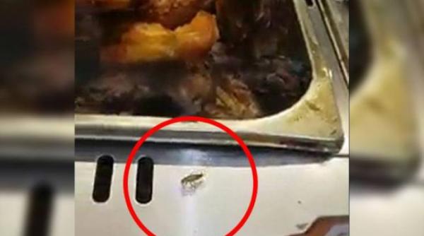 un fast food din galati a fost inchis dupa ce clientii au filmat gandaci in vitrina cu mancare