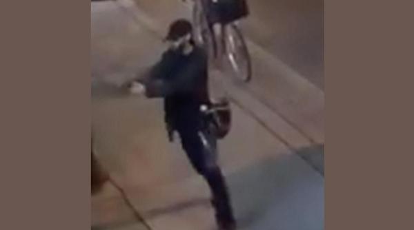 atacatorul din toronto suferea de psihoza si depresie