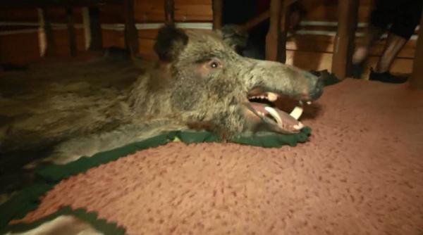 pepe de a dreptul ingrozit la poftiti la nea marin nu mi a spus nimeni asa ceva pana la varsta asta