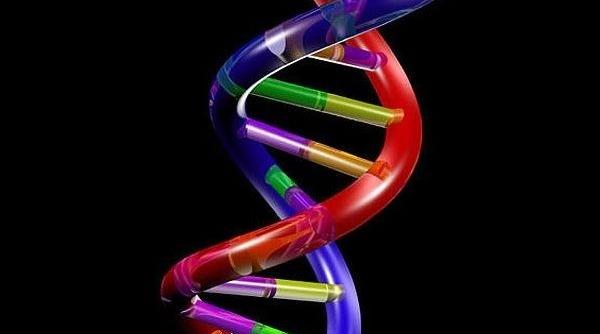 cancerul de prostata teste pentru evaluarea mutatiilor genetice ereditare