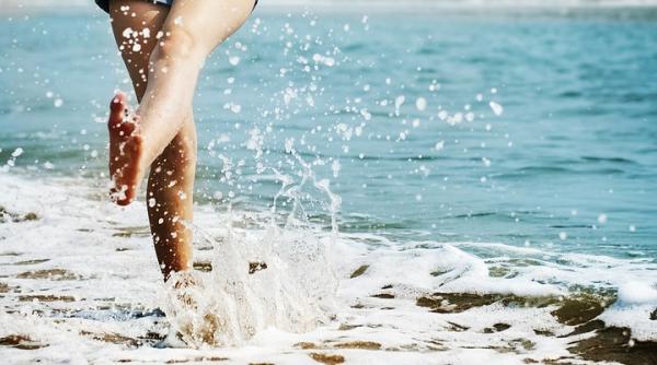 horoscop luna august leii sunt pregatiti pentru un nou inceput