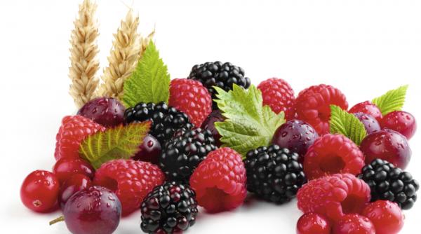 nutritionistii ne propun trei surse de antioxidanti pe timpul verii