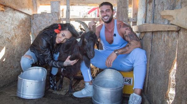 ruby si dorian popa in competitie la un concurs de muls capre mie imi era prea mila