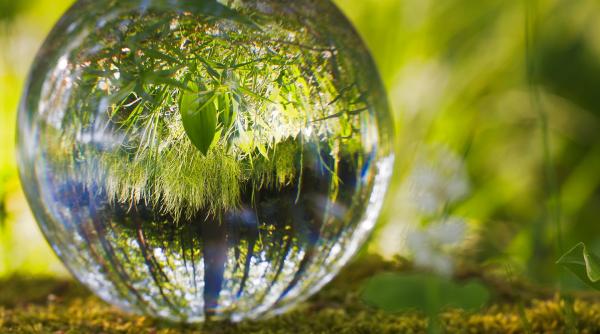 de pe 1 august resursele pamantului se vor epuiza