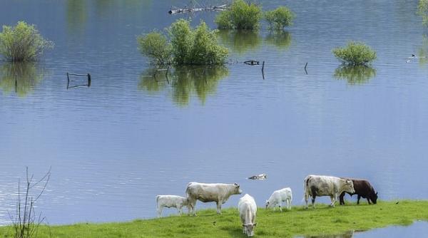 maramures pagubele provocate de inundatii estimate la circa 4 milioane lei