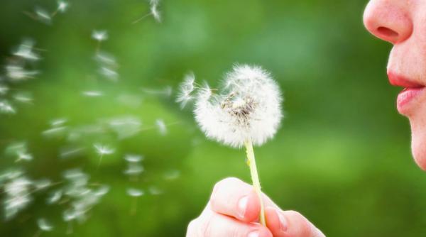 cum tinem alergiile sub control un medic specialist alergolog recomandari