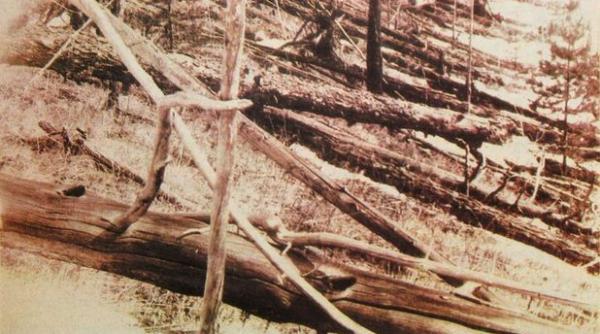 meteoritul de la tunguska nu a fost meteorit o noua versiune