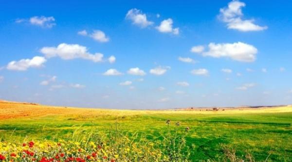 prognoza meteo pentru 2 3 4 si 5 august cer senin