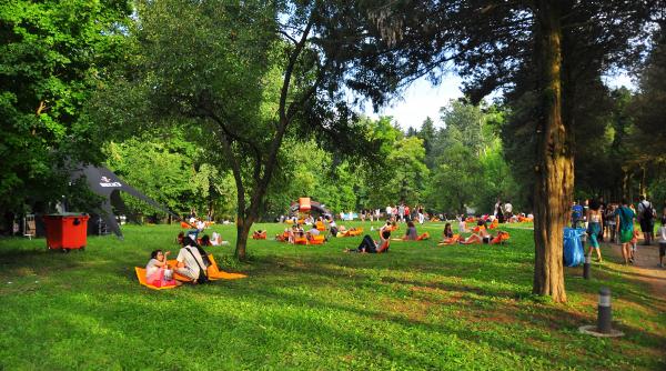 summer well 2018 intre 10 si 12 august pe domeniul stirbey din buftea