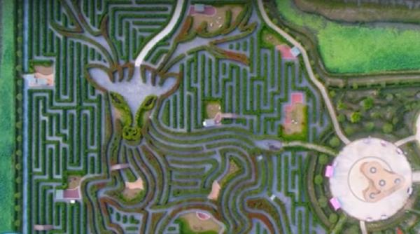 video cum arata cel mai mare labirint din lume