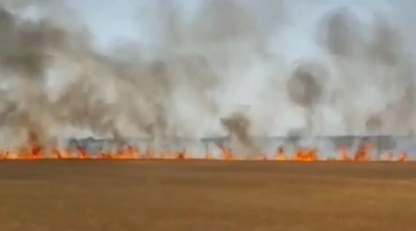cinci hectare de grau au ars intr un incendiu la ratos