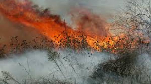 o autostrada intre franta si spania blocata timp de mai multe ore in urma unui incendiu