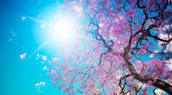 prognoza meteo pentru 6 7 8 si 9 august vreme caniculara