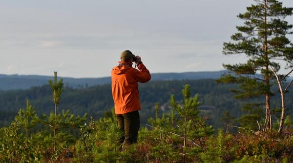 ce face suedia pentru reintegrarea detinutilor