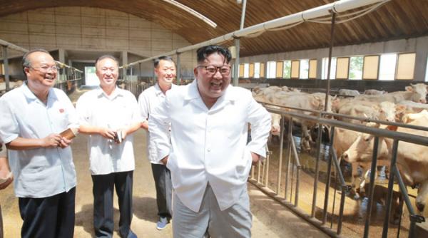 putin gata sa se intalneasca cu kim jong un potrivit agentiei de presa nord coreene kcna