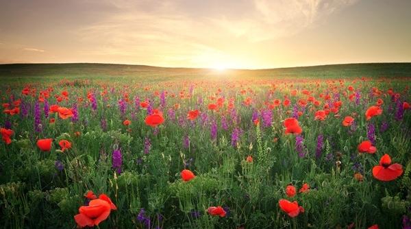 prognoza meteo pentru 17 18 19 si 20 august cer senin