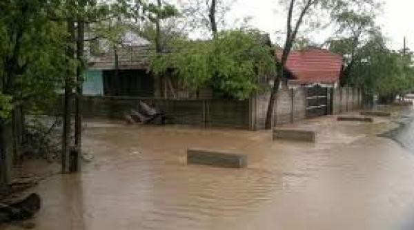 zeci de gospodarii din suceava au fost inundate in urma ploilor torentiale in ultimele ore