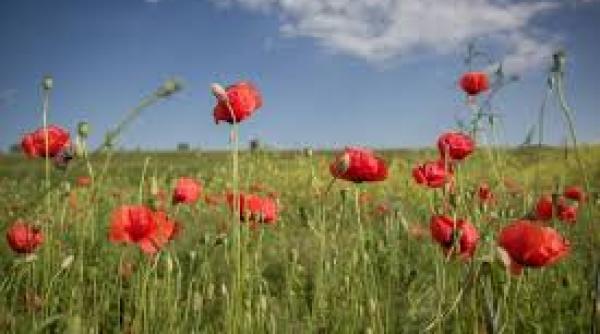 prognoza anm vreme calduroasa in urmatoarele doua saptamani