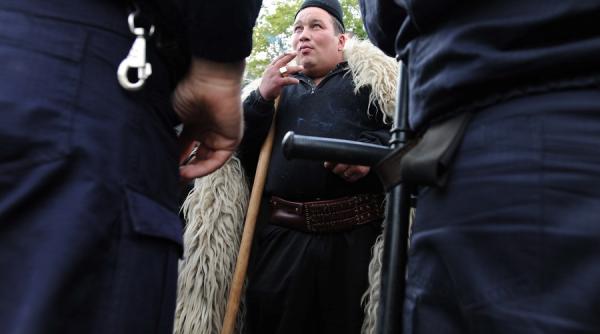 fermierii vor sa bage pesta porcina in csat