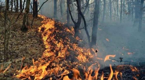 germania un violent incendiu de padure continua sa ameninte mai multe sate la 50 kilometri sud de berlin