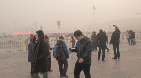 aerul poluat afecteaza inteligenta potrivit unui nou studiu