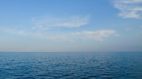 apele maritime internationale un rezervor de resurse genetice care nu sunt inca reglementate