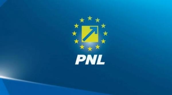 liberalii s au reunit pentru stabilirea prioritatilor legislative
