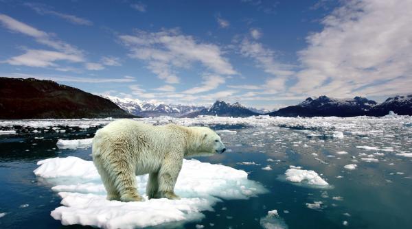 negocieri pentru clima organizate la bangkok