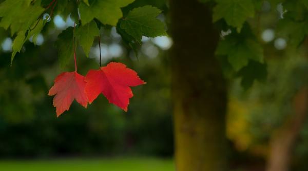 horoscop cele trei semne zodiacale pentru care luna septembrie va fi cu adevarat norocoasa