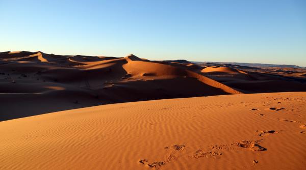 oamenii de stiinta au anuntat un plan incredibil pentru a aduce ploaia in desertul sahara