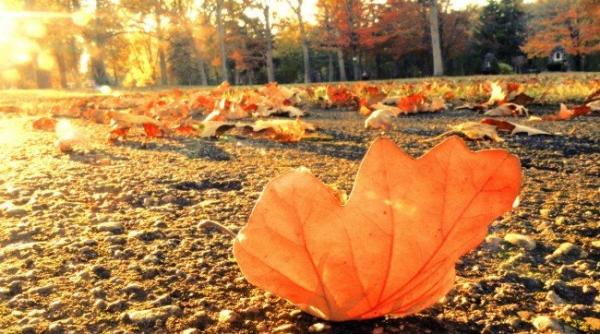 prognoza meteo pentru 11 12 13 si 14 septembrie cer senin