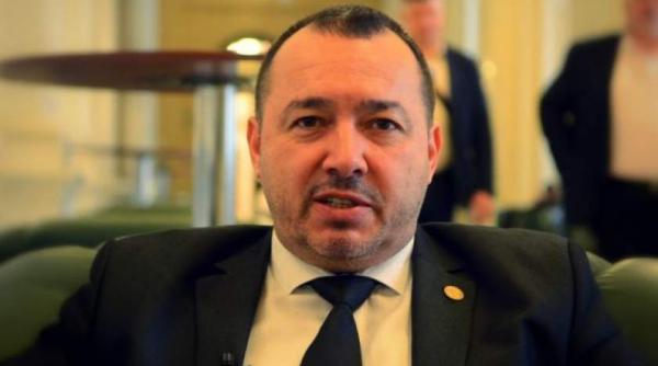 catalin radulescu spune ca gabriela firea a facut un mare deserviciu psd