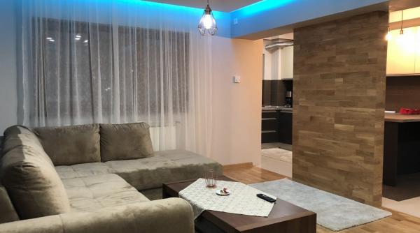 apartamentele mari mobilate si vilele cele mai cautate pentru inchiriere in 2018