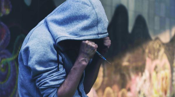 liber la etnobotanice in romania