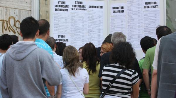 anofm 29 690 locuri de munca vacante la nivel national