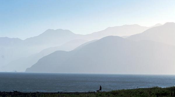 o vietate ciudata descoperita in noua zeelanda