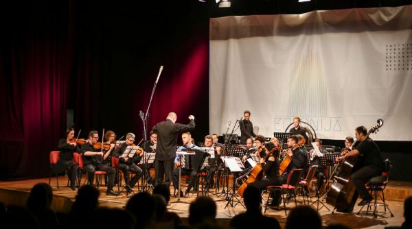 eufonia festival la timisoara