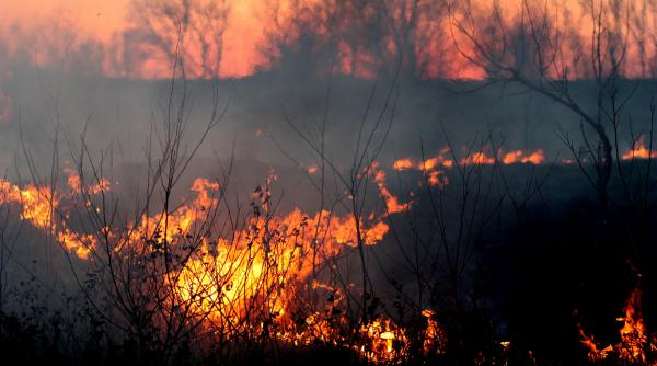 incendiu de vegetatie in germania