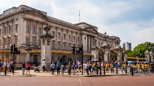 mb un barbat inarmat cu un pistol cu electosocuri arestat in fata palatului buckingham