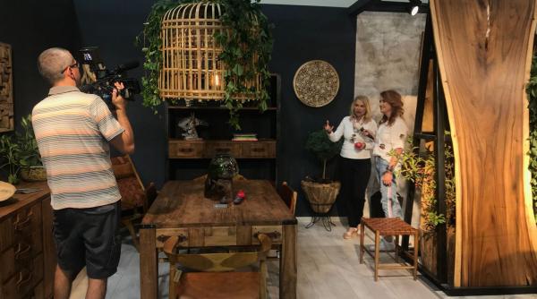 ideile de milioane in afaceri de nisa