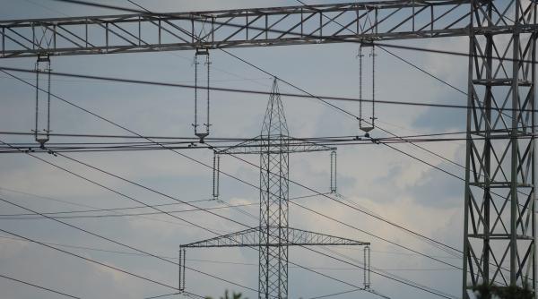 sefii transelectrica isi dubleaza lefurile