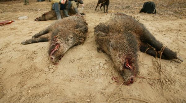 foc foc foc 4 000 de impuscati zero dovezi