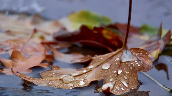 prognoza meteo pentru 1 2 3 si 4 octombrie 2018 ploi