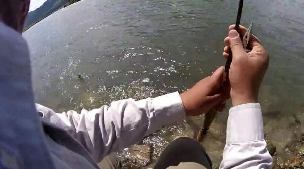 descoperire neasteptata in neamt cinci proiectile de artilerie gasite de un pescar pe malul raului moldova