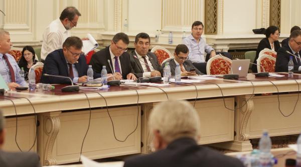 deputatii alde au parasit dezbaterile la legea offshore vosganian mi se pare o improvizatie