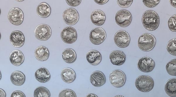 descoperire neobisnuita intr o padure doi tineri au gasit cateva sute de monede vechi de peste doua mii de ani